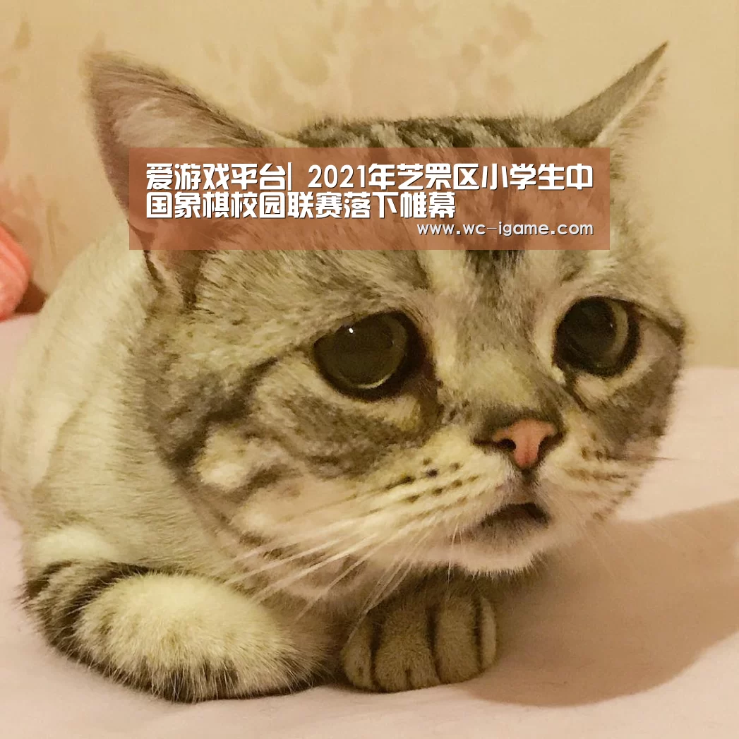 爱游戏体育