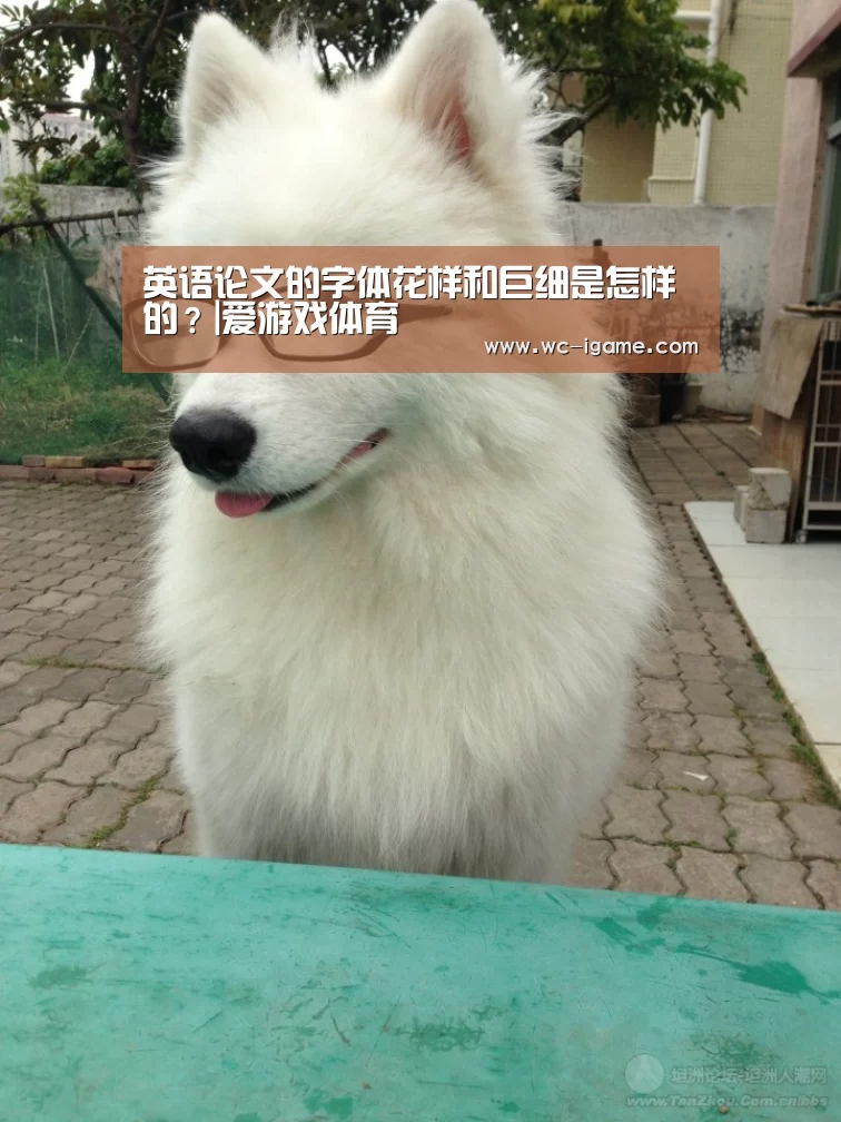 爱游戏体育App下载