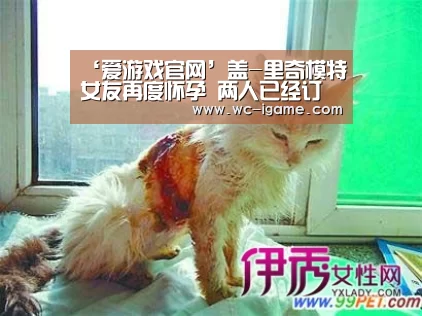 ‘爱游戏官网’盖-里奇模特女友再度怀孕 两人已经订婚(图4) 爱游戏体育