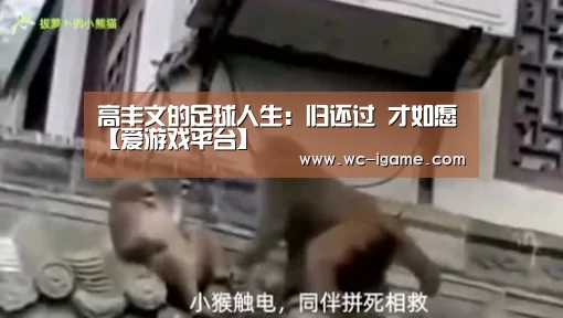 高丰文的足球人生:归还过 才如愿【爱游戏平台】(图1) 爱游戏平台