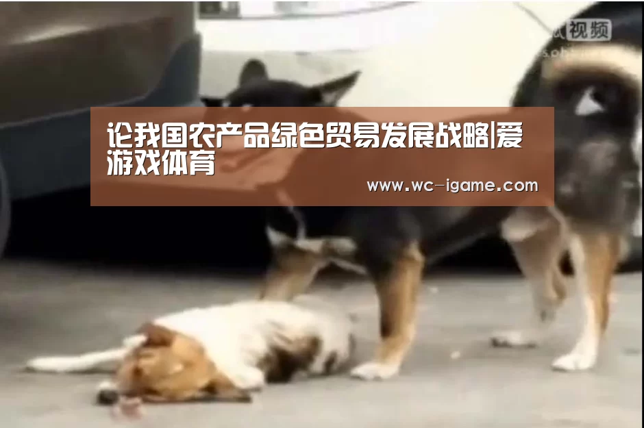 爱游戏平台