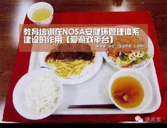 教育培训在NOSA安健环管理体系建设的作用【爱游戏平台】(图1) 爱游戏官网