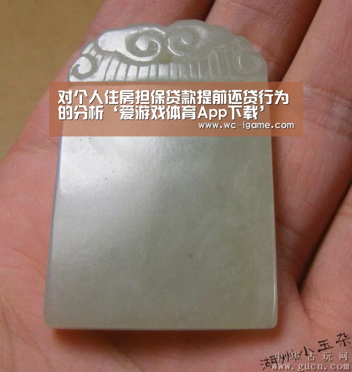 对个人住房担保贷款提前还贷行为的分析‘爱游戏体育App下载’(图1) 爱游戏体育App下载