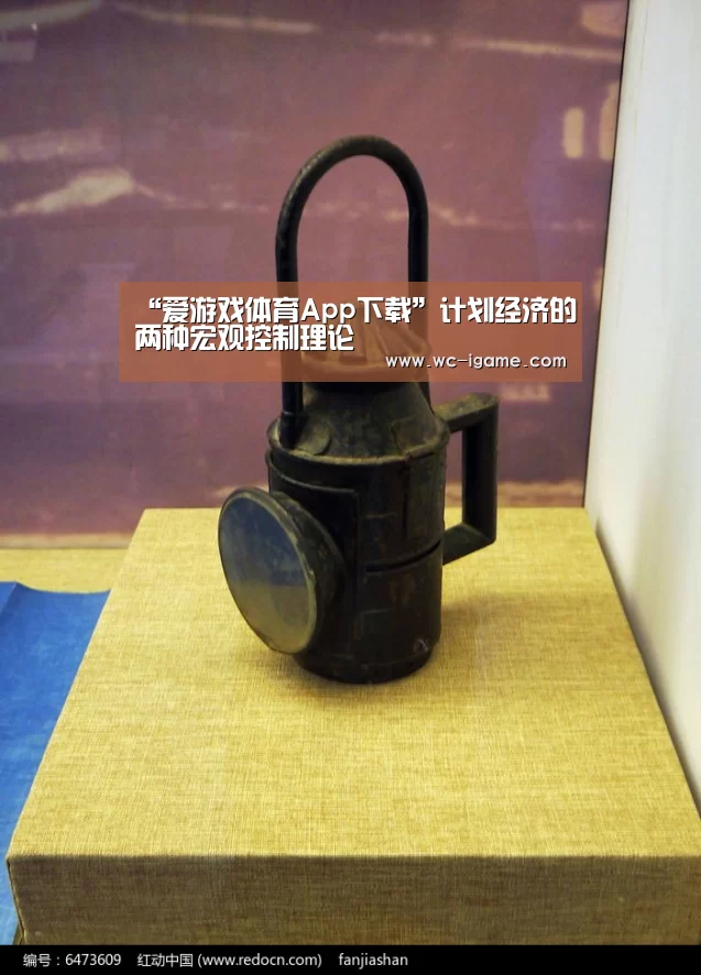“爱游戏体育App下载”计划经济的两种宏观控制理论(图1) 爱游戏官网